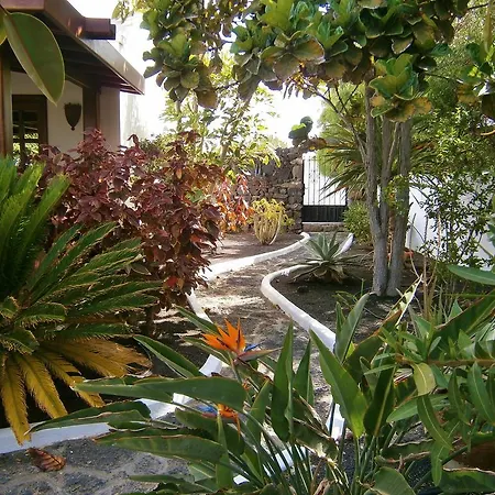 Ana Costa Teguise